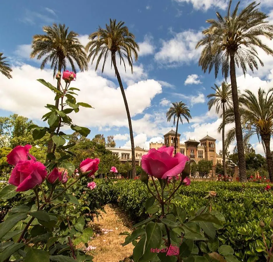 #RetoAbrilABC: selección de las mejores fotografías de la primavera en Sevilla recibidas en nuestro concurso