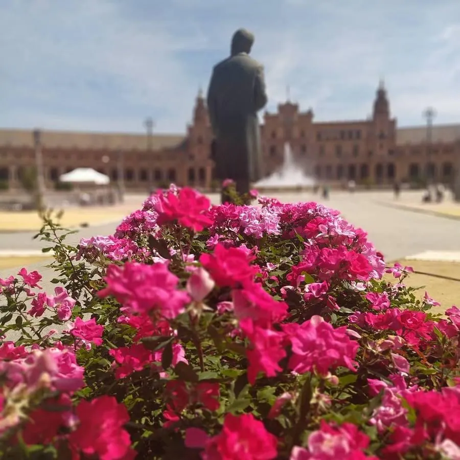 #RetoAbrilABC: selección de las mejores fotografías de la primavera en Sevilla recibidas en nuestro concurso
