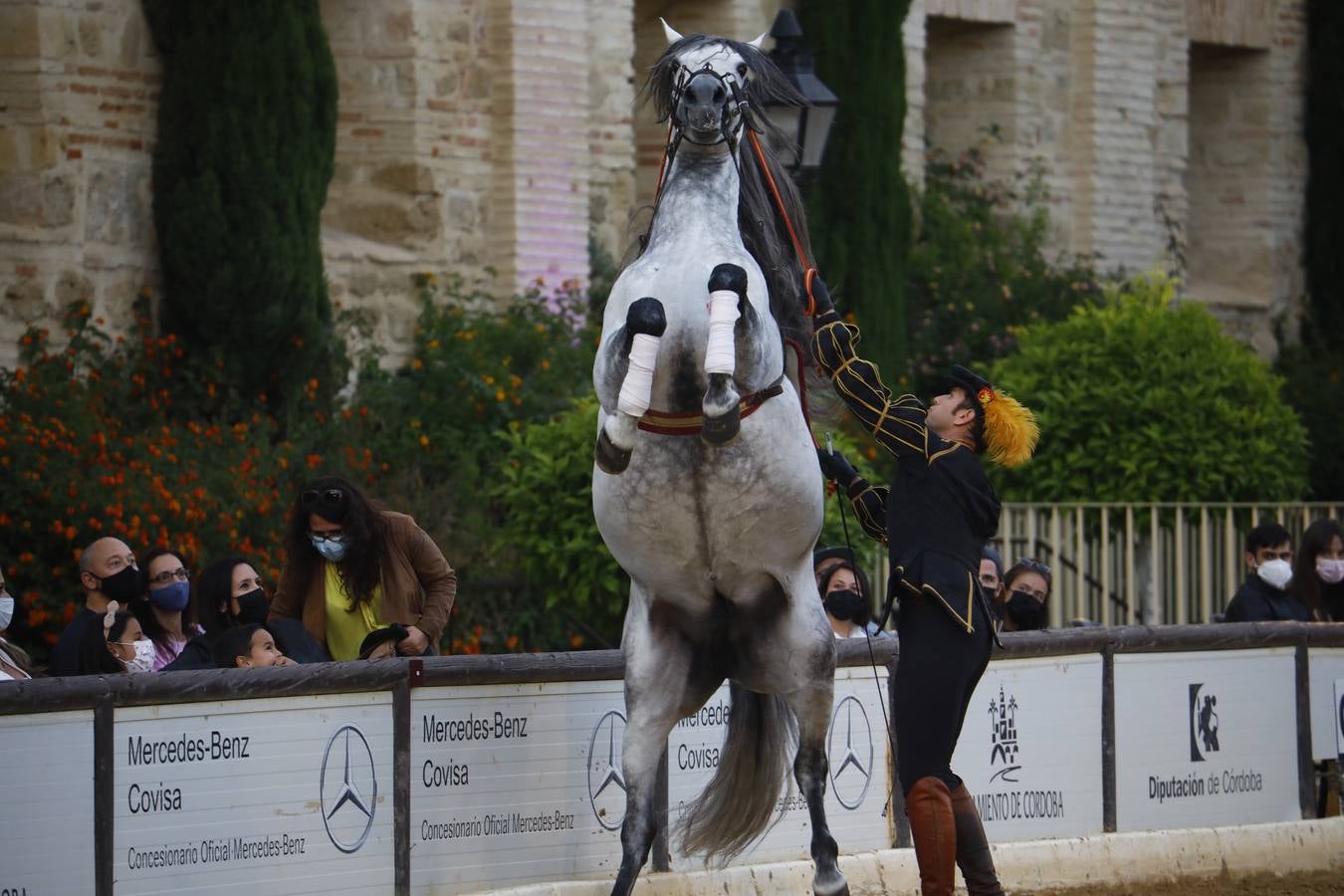 El espectáculo vuelve a las Caballerizas Reales de Córdoba, en imágenes