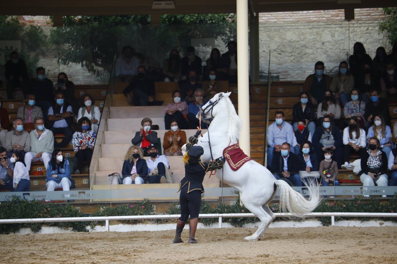 El espectáculo vuelve a las Caballerizas Reales de Córdoba, en imágenes