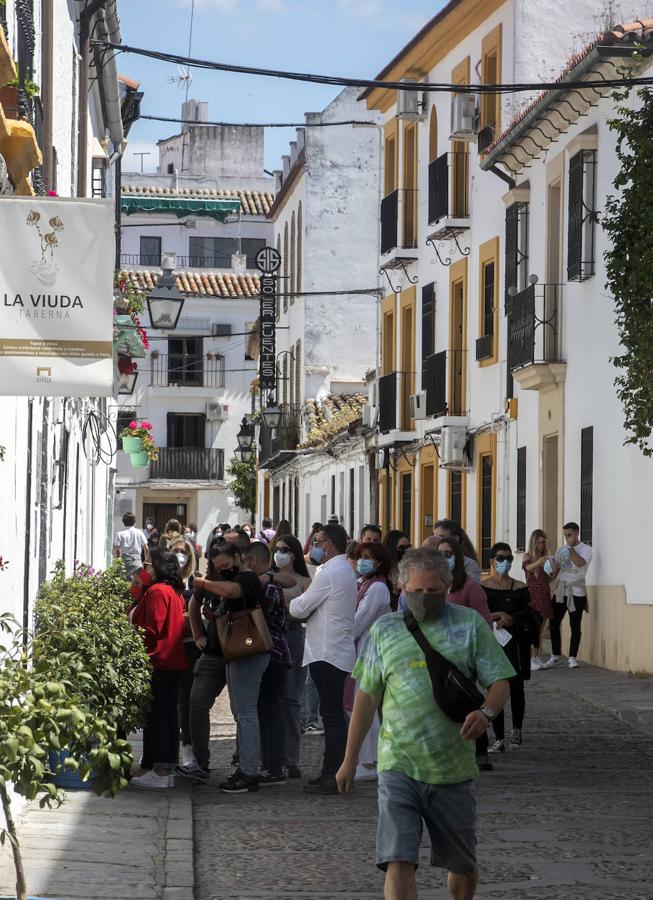 Patios Córdoba 2021 | Los últimos preparativos, en imágenes