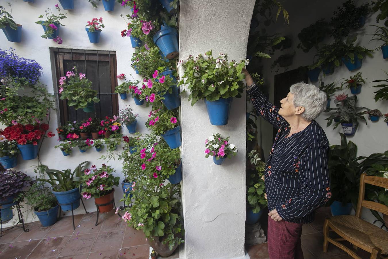 Patios Córdoba 2021 | Los últimos preparativos, en imágenes