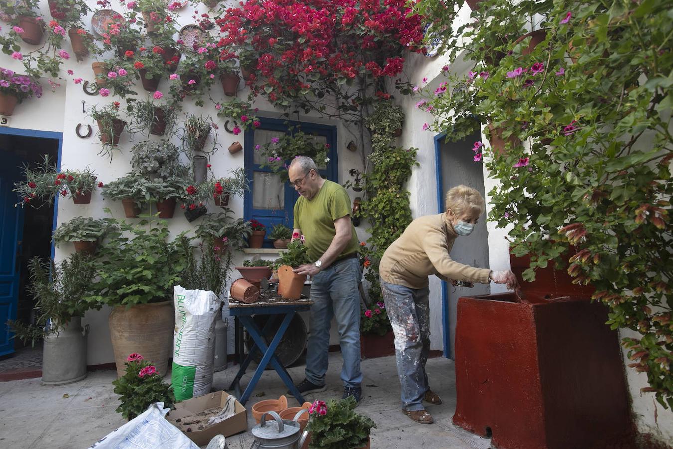 Patios Córdoba 2021 | Los últimos preparativos, en imágenes