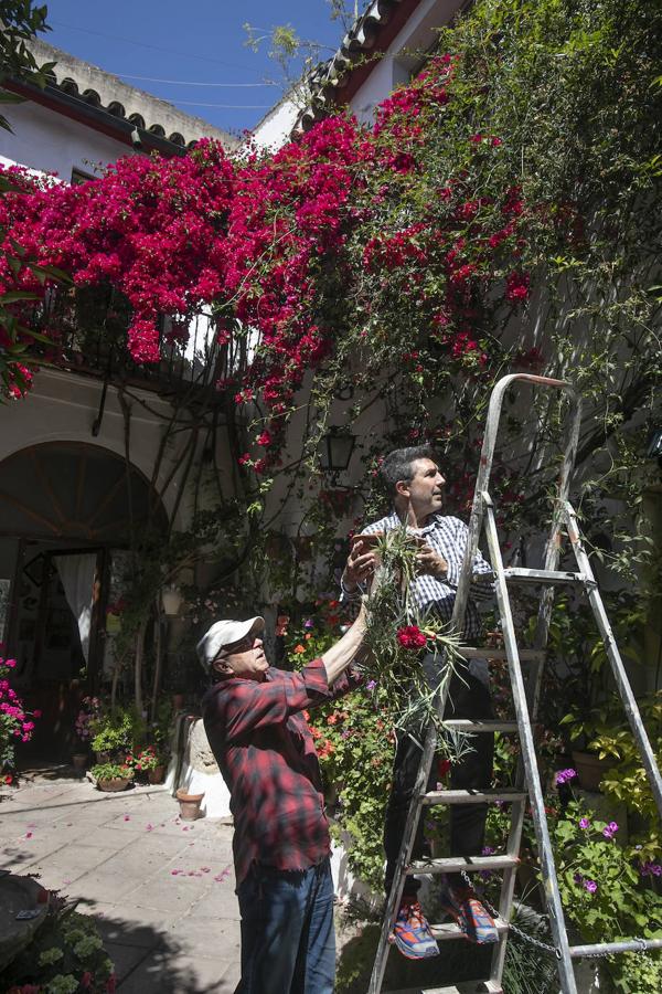 Patios Córdoba 2021 | Los últimos preparativos, en imágenes