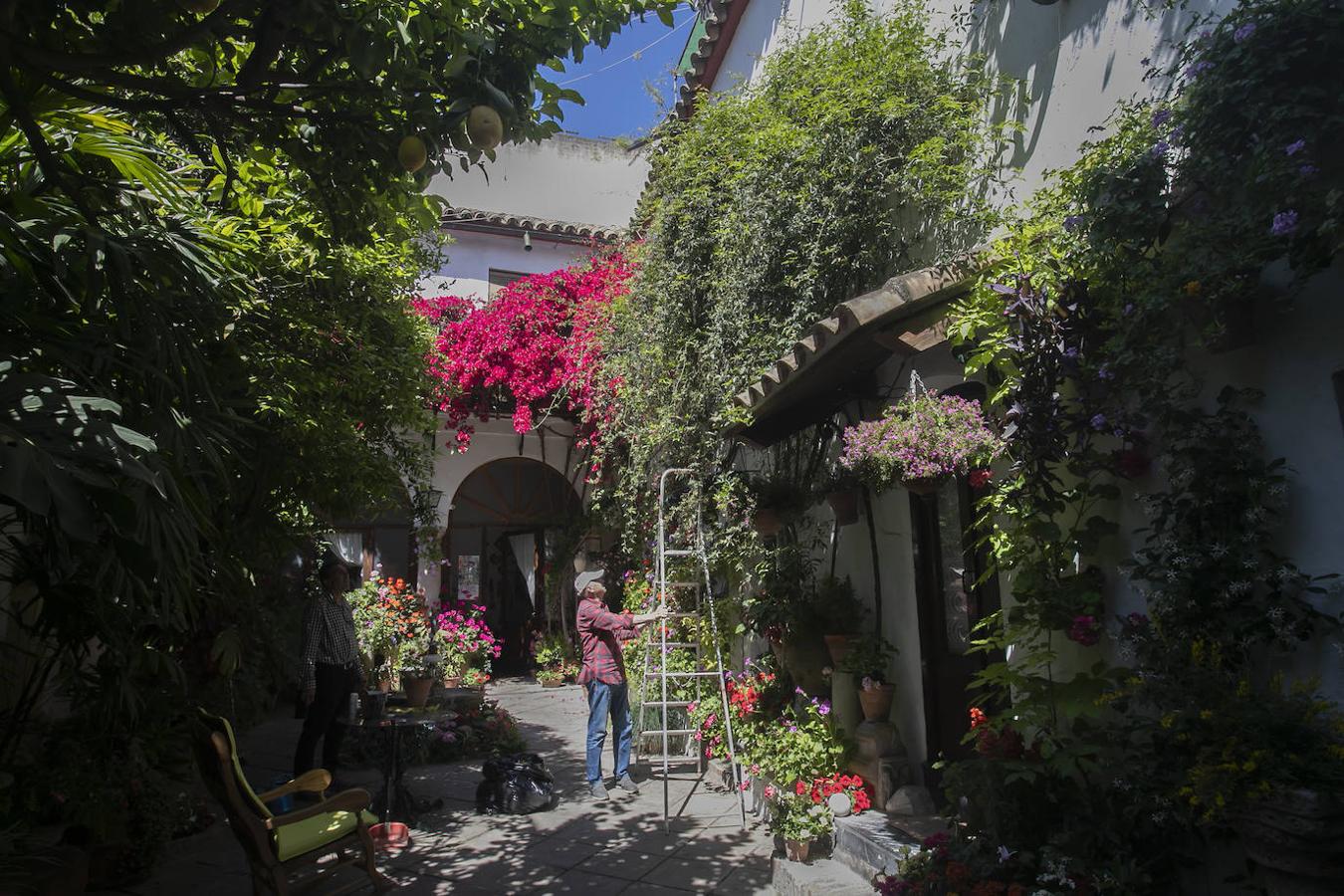 Patios Córdoba 2021 | Los últimos preparativos, en imágenes