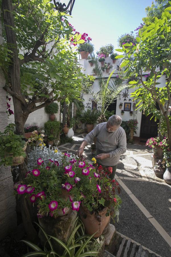 Patios Córdoba 2021 | Los últimos preparativos, en imágenes