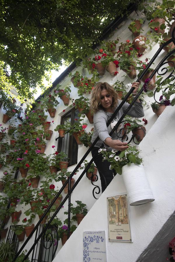 Patios Córdoba 2021 | Los últimos preparativos, en imágenes