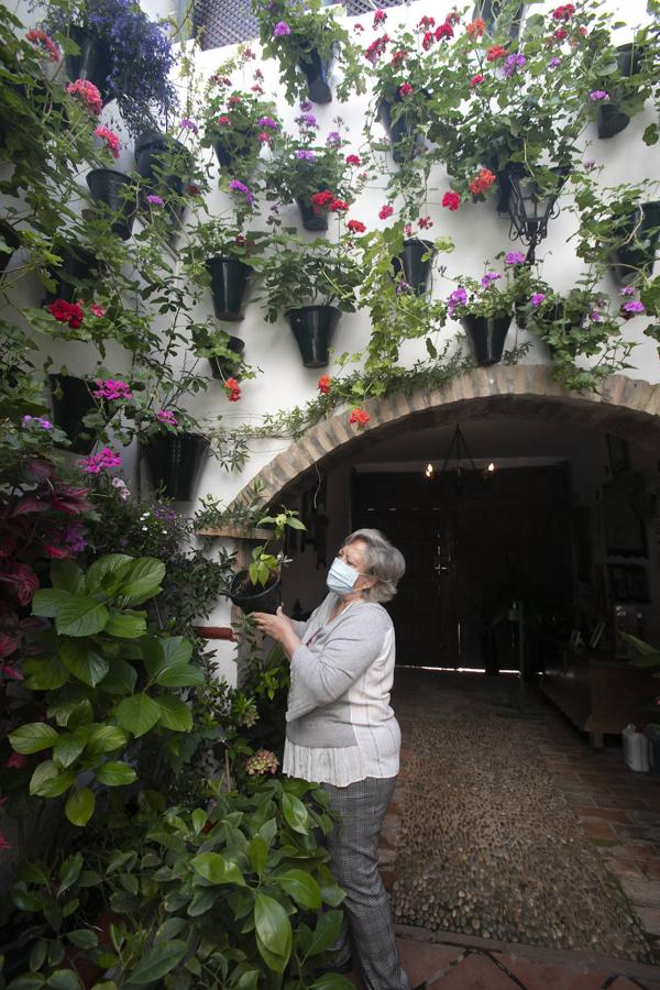 Patios Córdoba 2021 | Los últimos preparativos, en imágenes