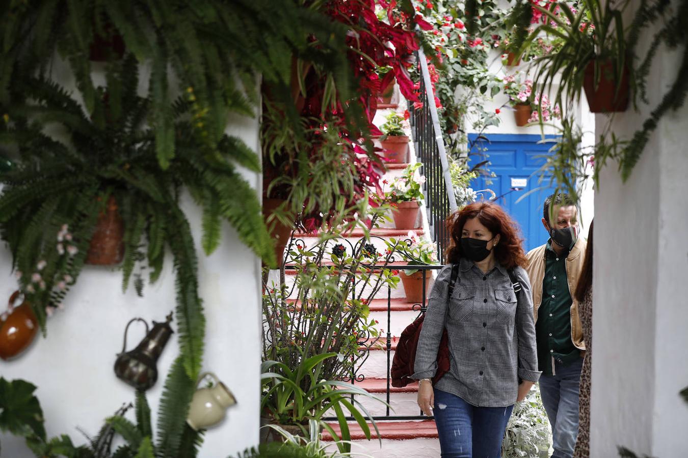 Patios de Córdoba 2021 | La ruta de Santiago y San Pedro, en imágenes