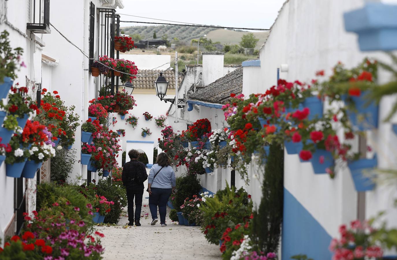 Cañete de las Torres y su paraíso floral, en imágenes