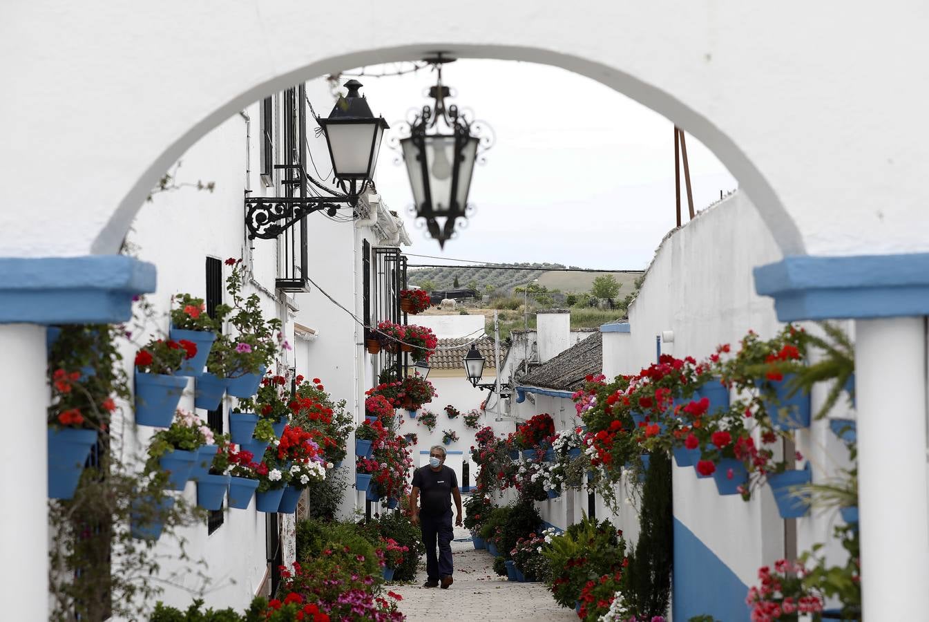 Cañete de las Torres y su paraíso floral, en imágenes