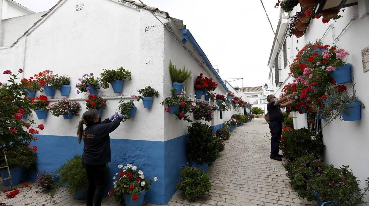 Cañete de las Torres y su paraíso floral, en imágenes