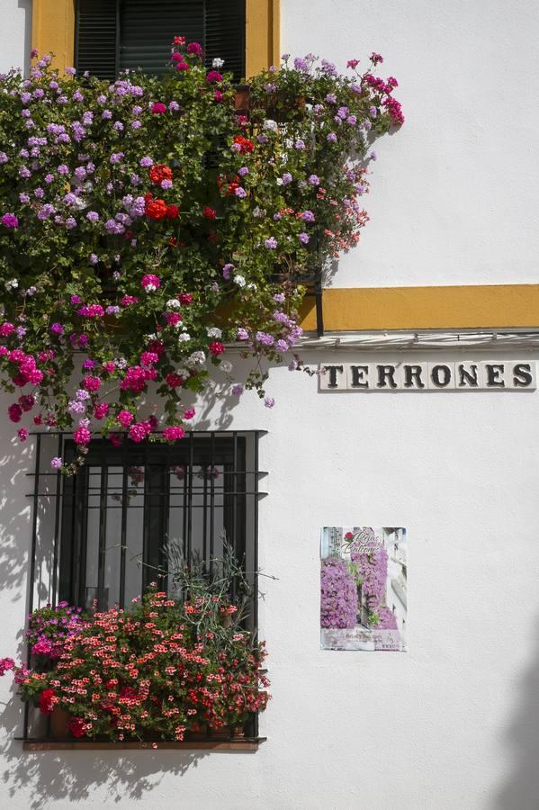 Los premios de Rejas y Balcones de Córdoba, en imágenes