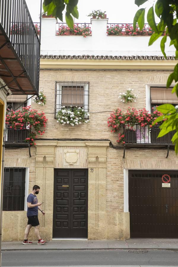 Los premios de Rejas y Balcones de Córdoba, en imágenes