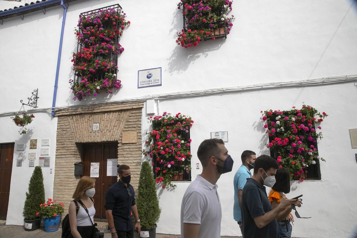 Los premios de Rejas y Balcones de Córdoba, en imágenes