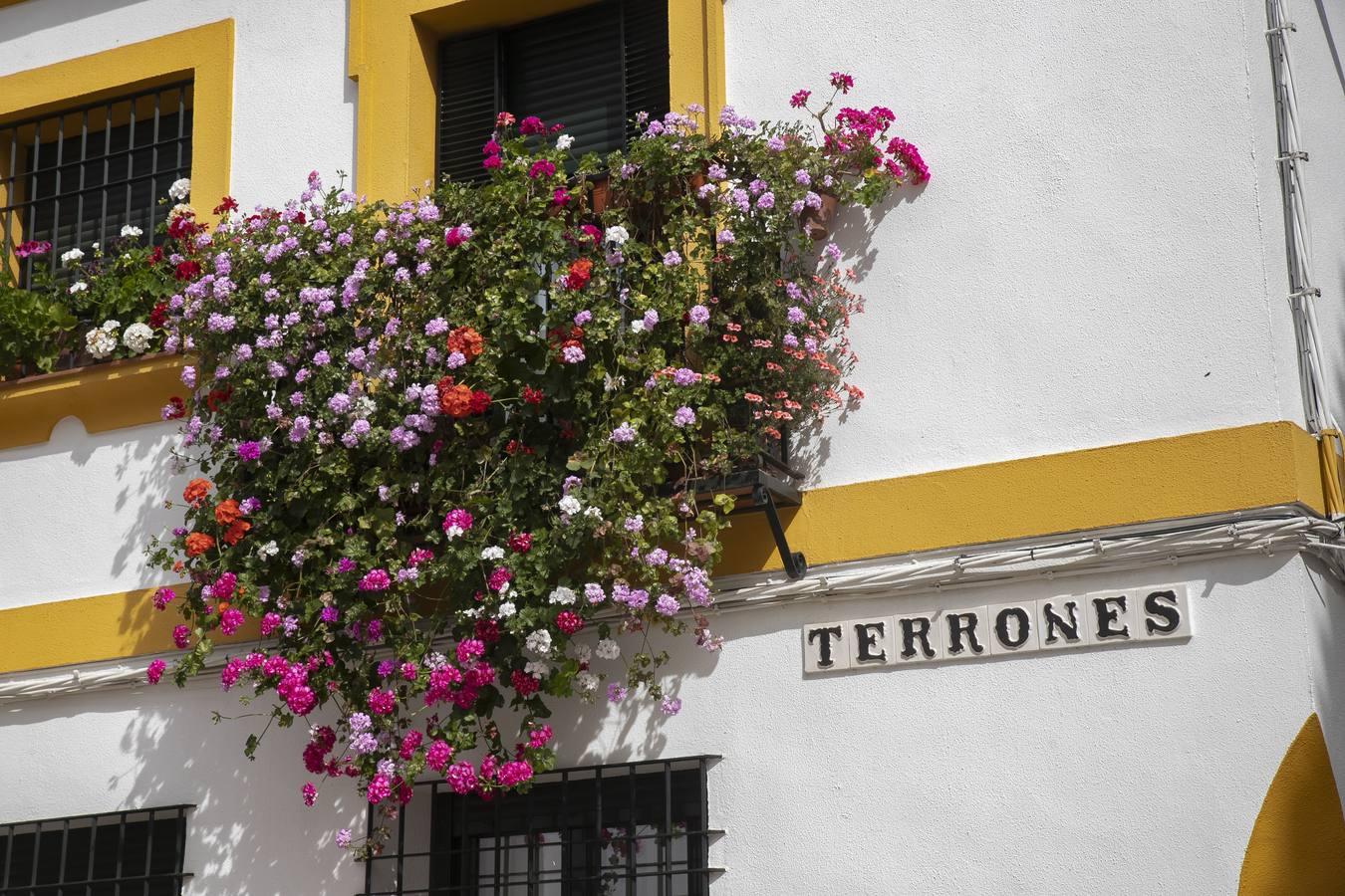 Los premios de Rejas y Balcones de Córdoba, en imágenes