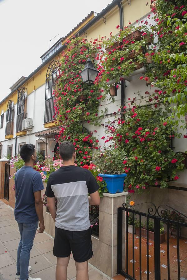 Los premios de Rejas y Balcones de Córdoba, en imágenes