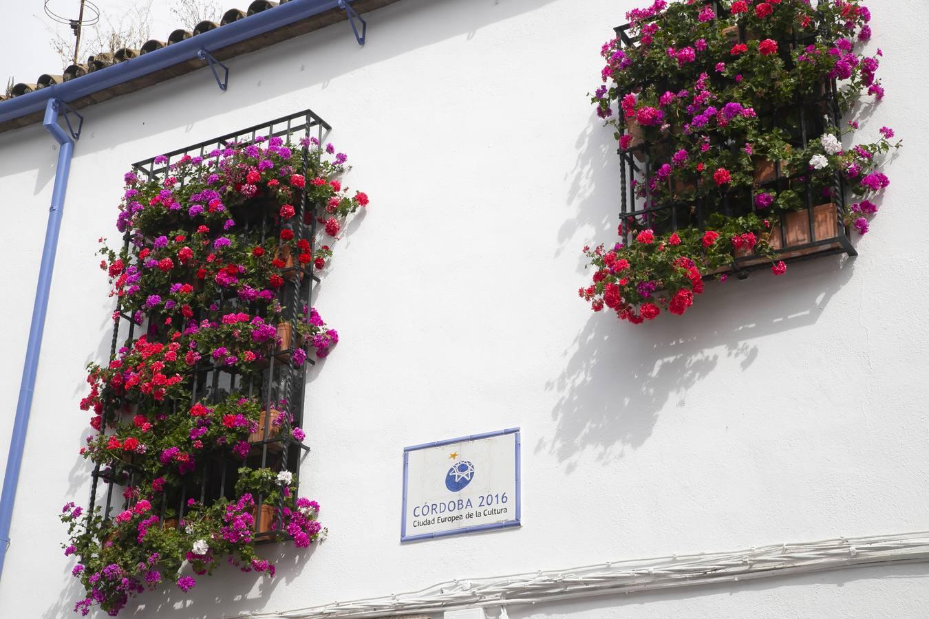 Los premios de Rejas y Balcones de Córdoba, en imágenes