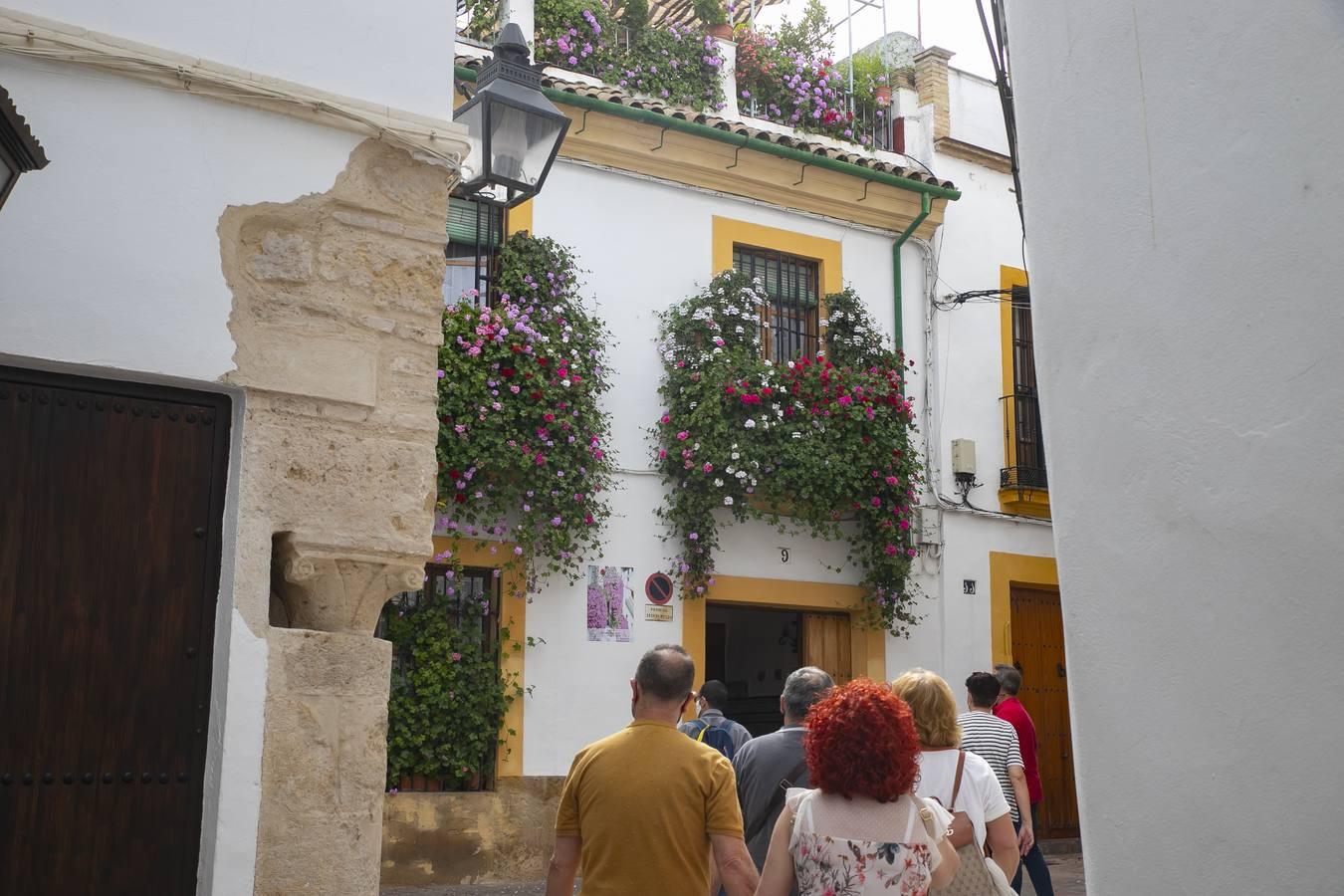 Los premios de Rejas y Balcones de Córdoba, en imágenes