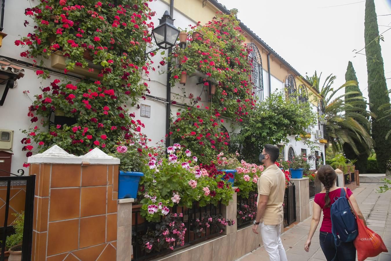 Los premios de Rejas y Balcones de Córdoba, en imágenes