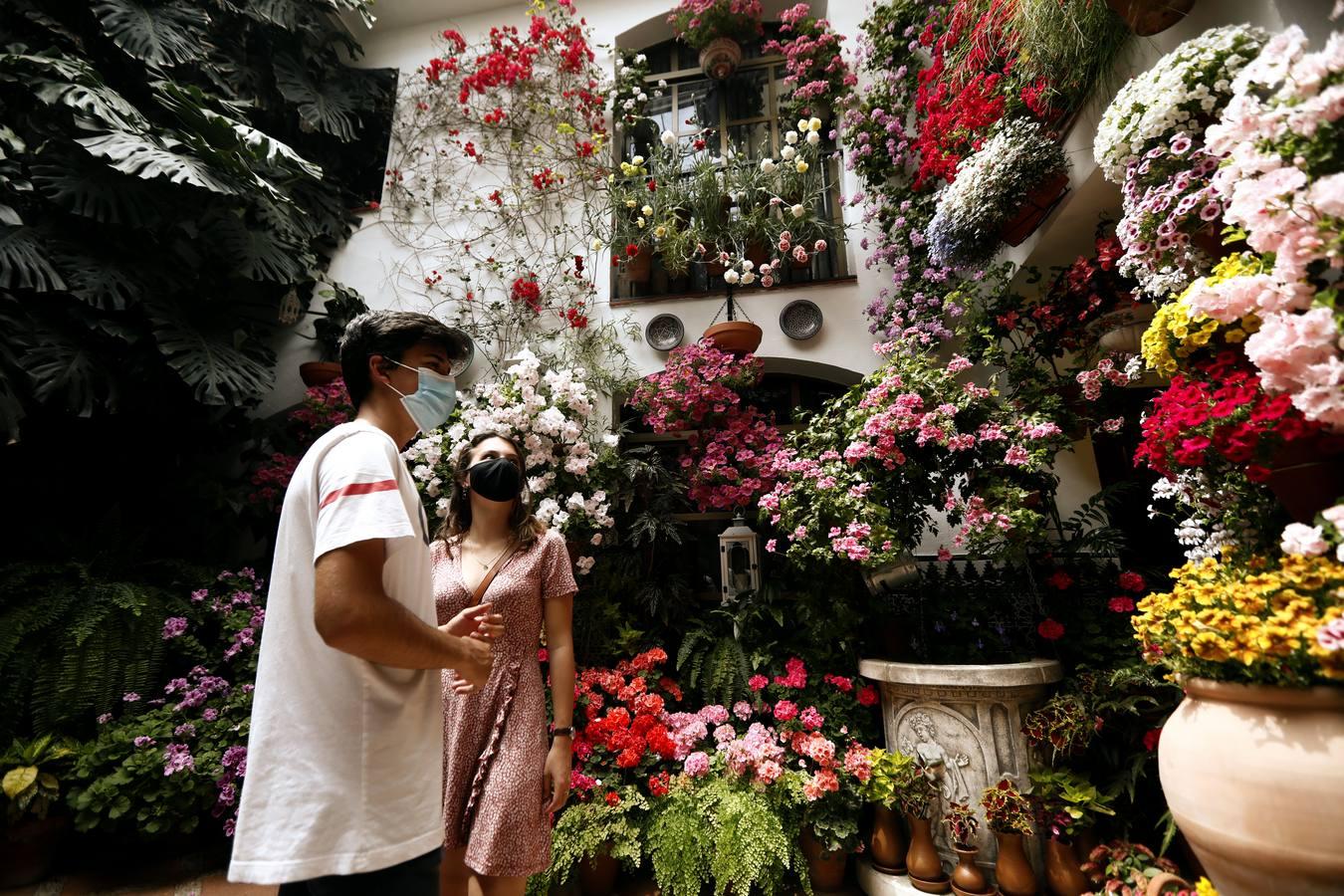 El sábado de Patios en Córdoba, en imágenes