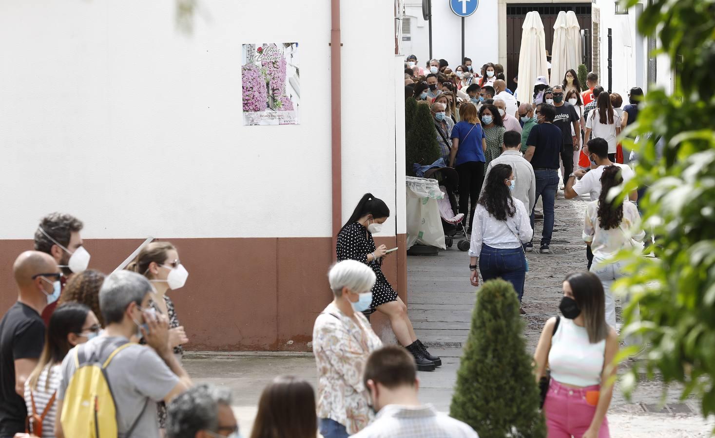 El sábado de Patios en Córdoba, en imágenes