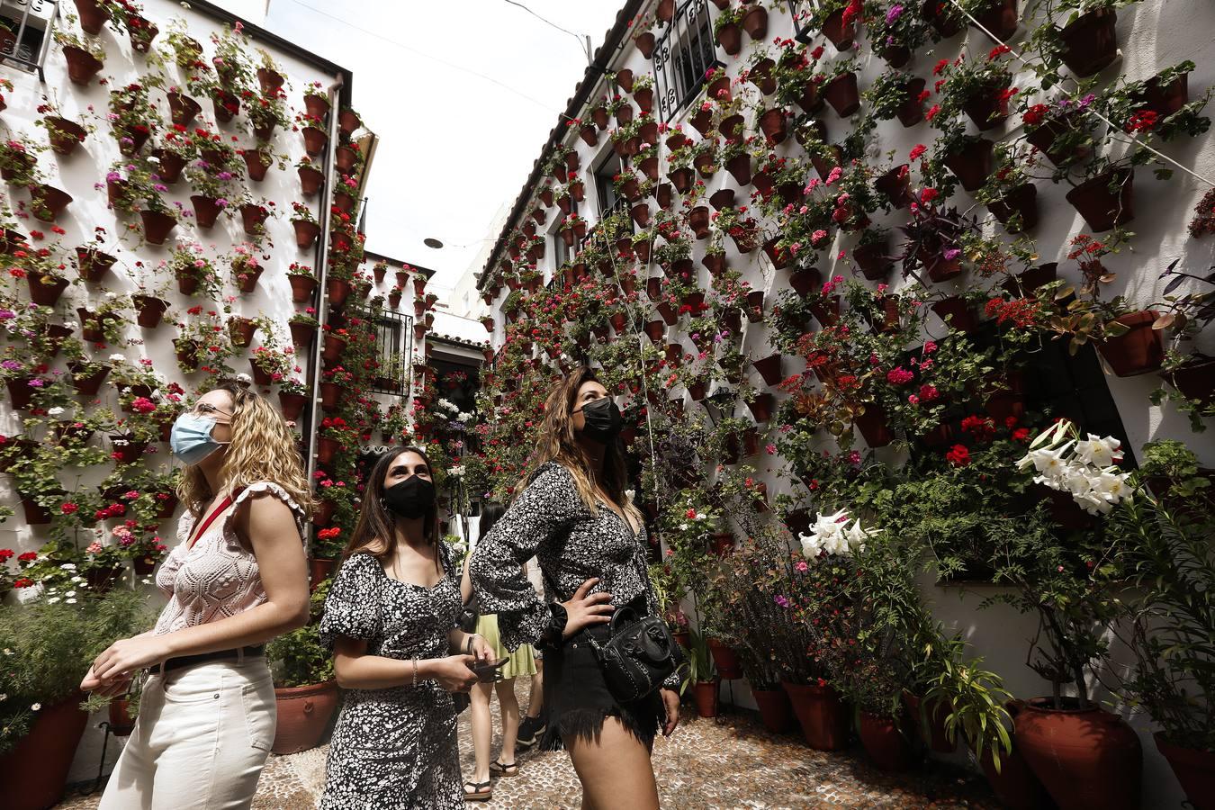 El sábado de Patios en Córdoba, en imágenes