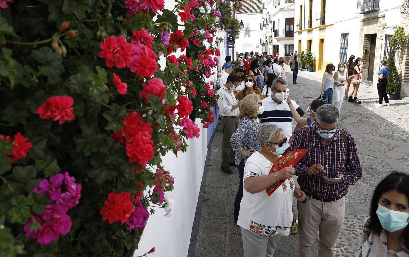 El sábado de Patios en Córdoba, en imágenes