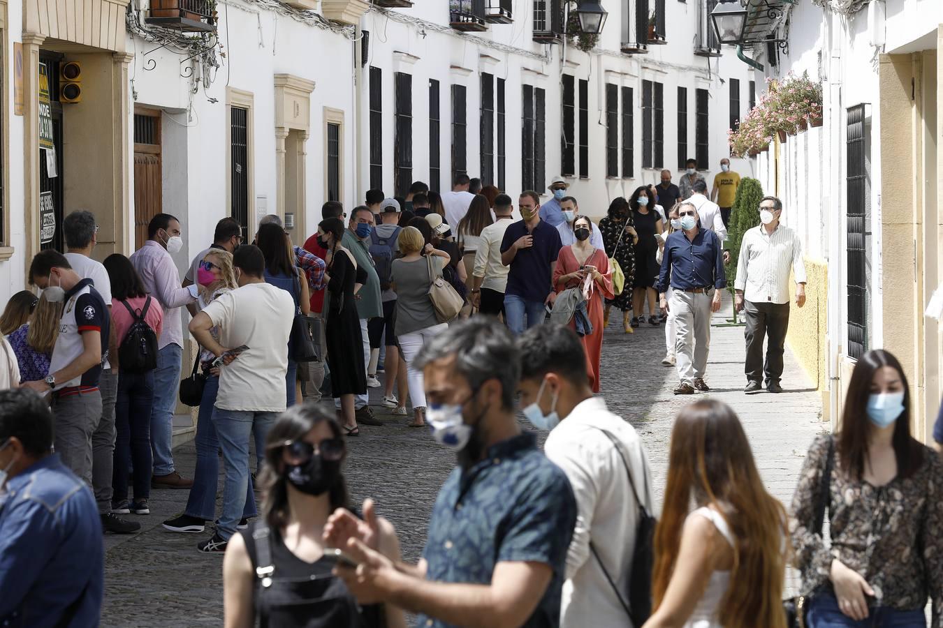 El sábado de Patios en Córdoba, en imágenes