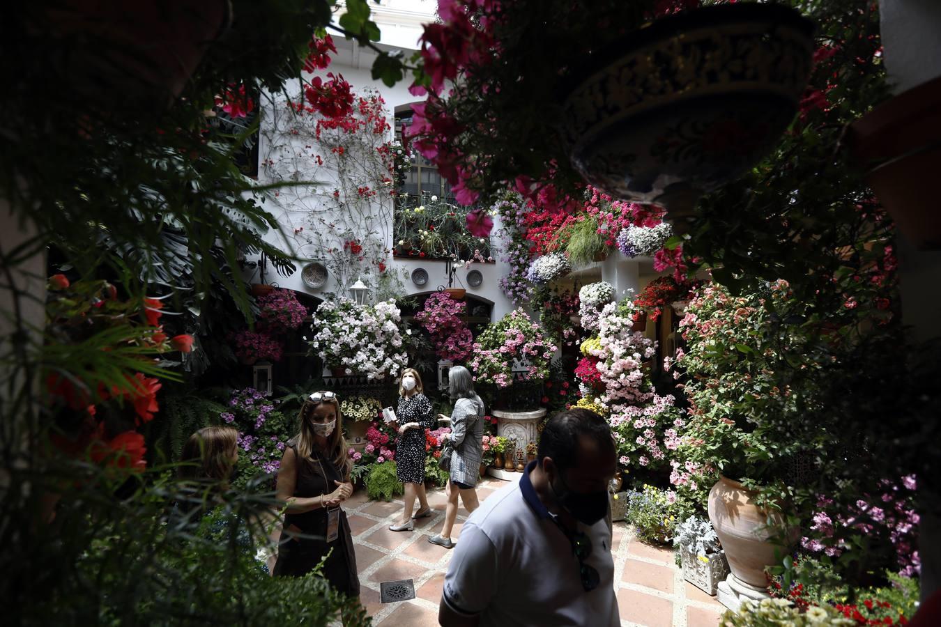 El sábado de Patios en Córdoba, en imágenes