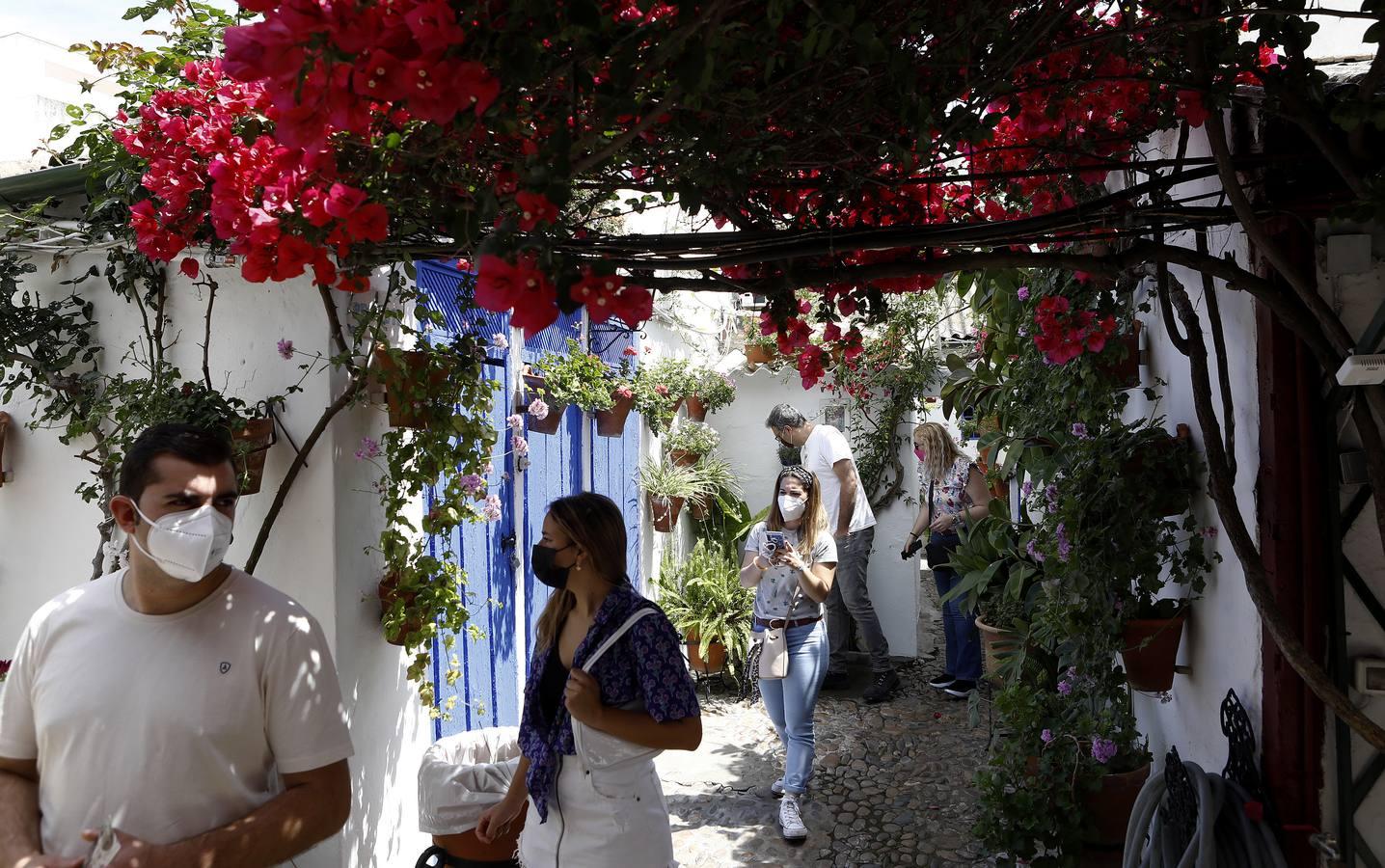 El sábado de Patios en Córdoba, en imágenes