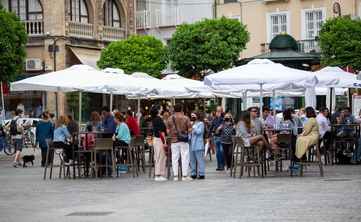 Varios turistas pasean por el Centro de Sevilla