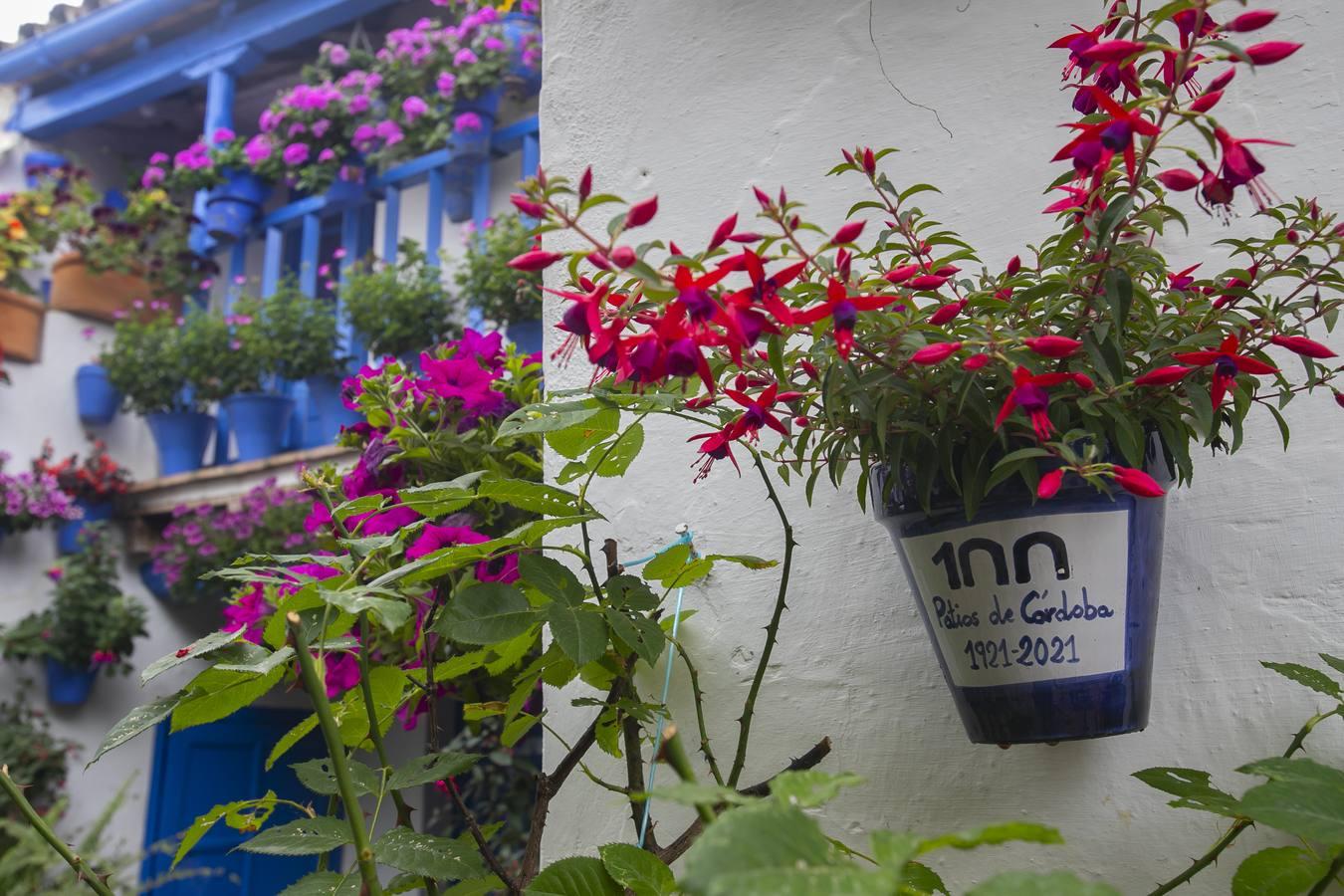 Los patios de San Lorenzo y San Agustín de Córdoba, en imágenes