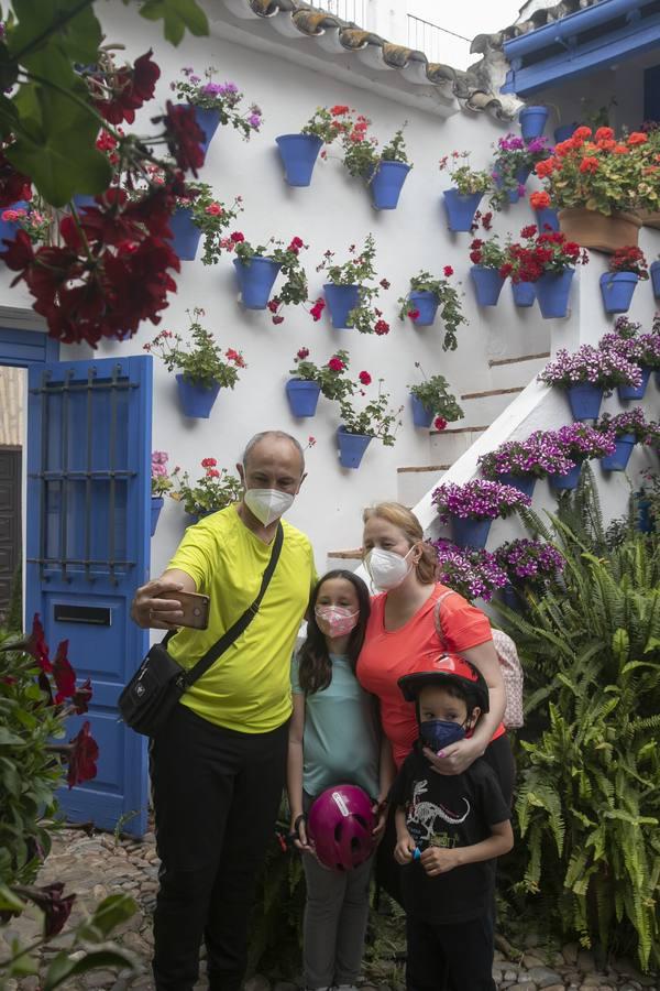 Los patios de San Lorenzo y San Agustín de Córdoba, en imágenes