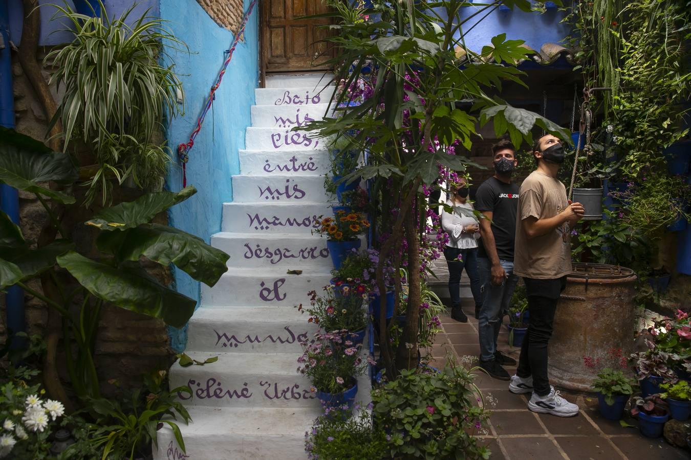 Los patios de San Lorenzo y San Agustín de Córdoba, en imágenes