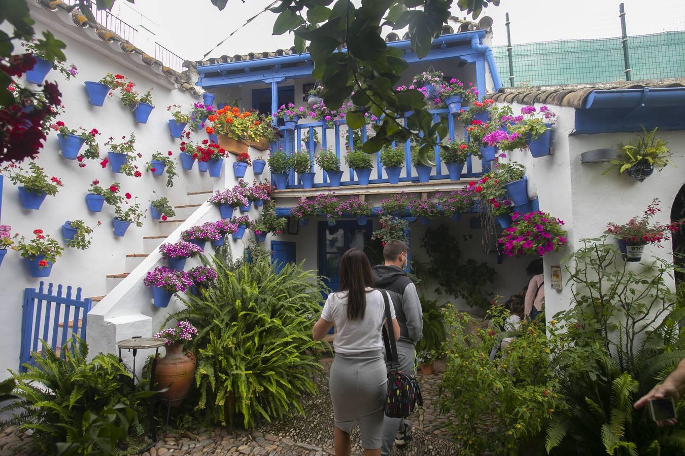 Los patios de San Lorenzo y San Agustín de Córdoba, en imágenes