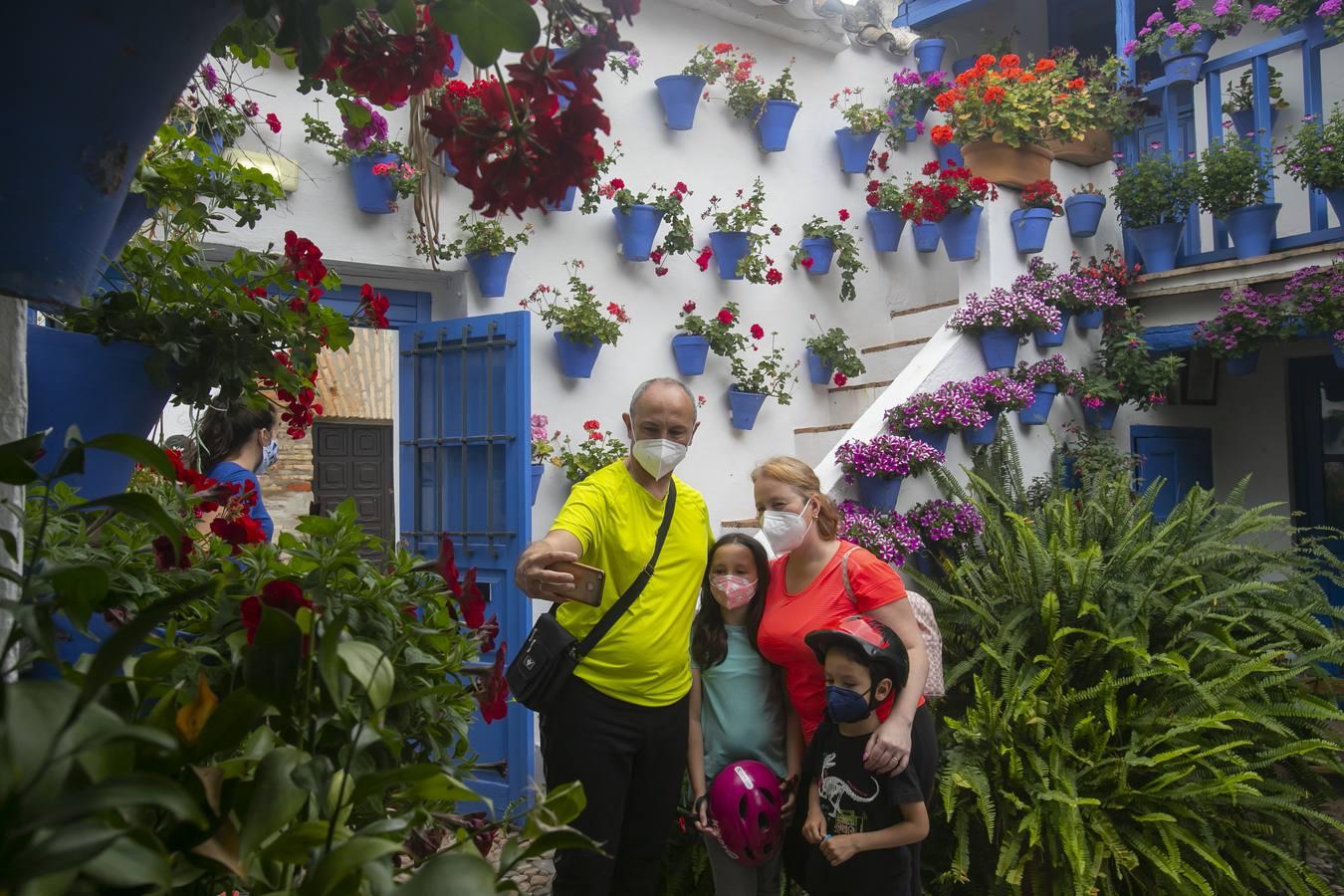 Los patios de San Lorenzo y San Agustín de Córdoba, en imágenes