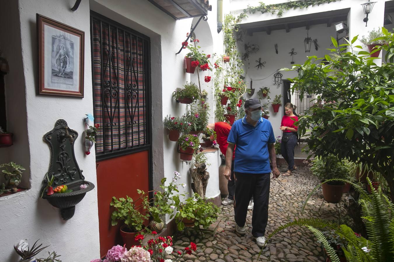 Los patios de San Lorenzo y San Agustín de Córdoba, en imágenes