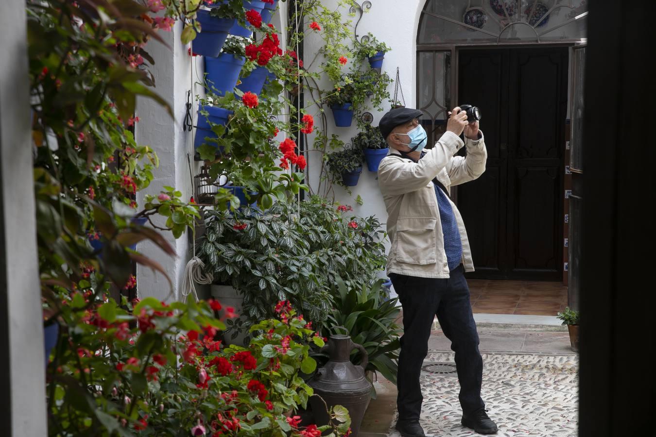 Los patios de San Lorenzo y San Agustín de Córdoba, en imágenes