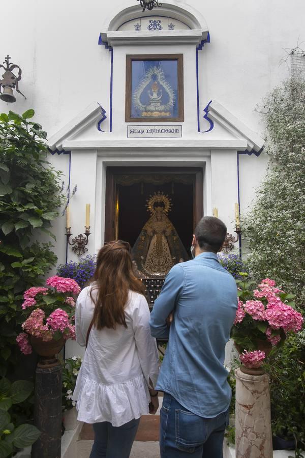 Los patios de San Lorenzo y San Agustín de Córdoba, en imágenes