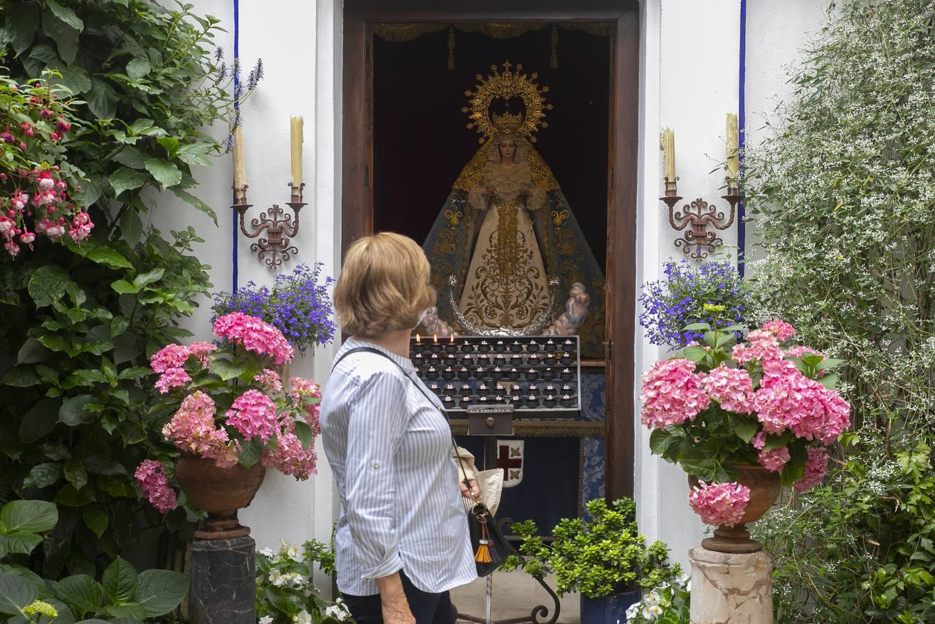 Los patios de San Lorenzo y San Agustín de Córdoba, en imágenes