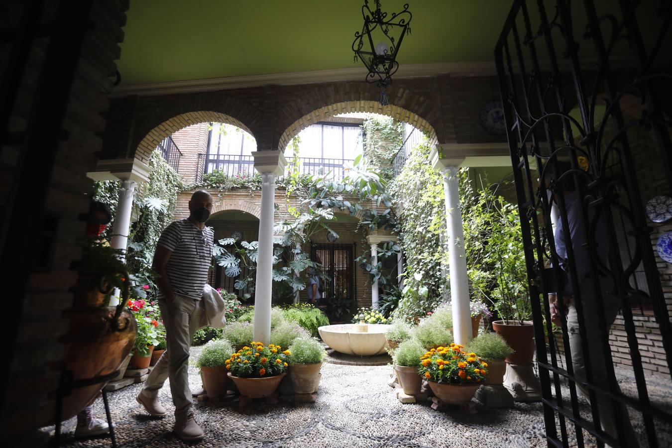 Los patios de la Judería de Córdoba, en imágenes