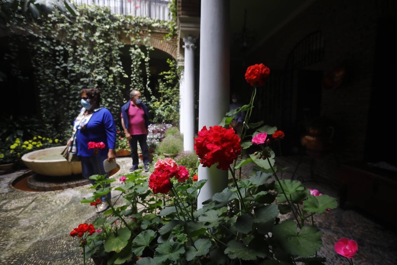 Los patios de la Judería de Córdoba, en imágenes