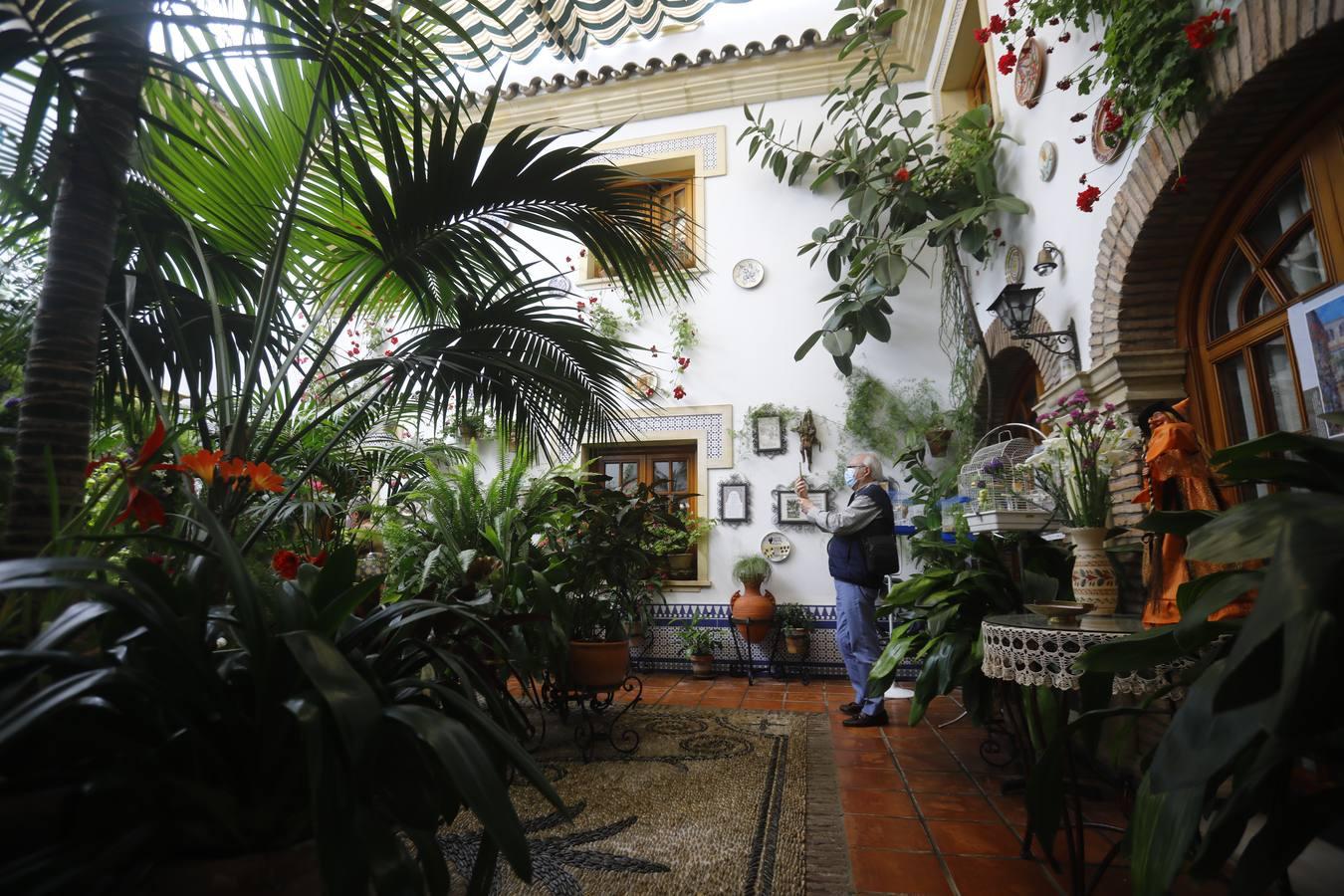 Los patios de la Judería de Córdoba, en imágenes