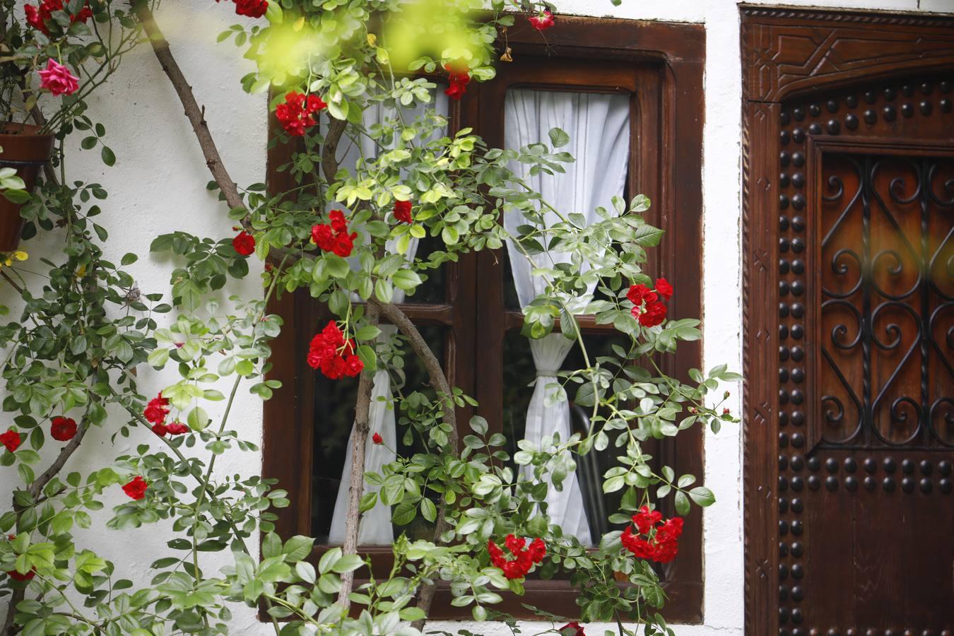 Los patios de la Judería de Córdoba, en imágenes