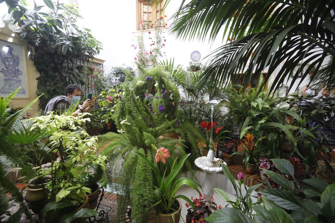 Los patios de la Judería de Córdoba, en imágenes