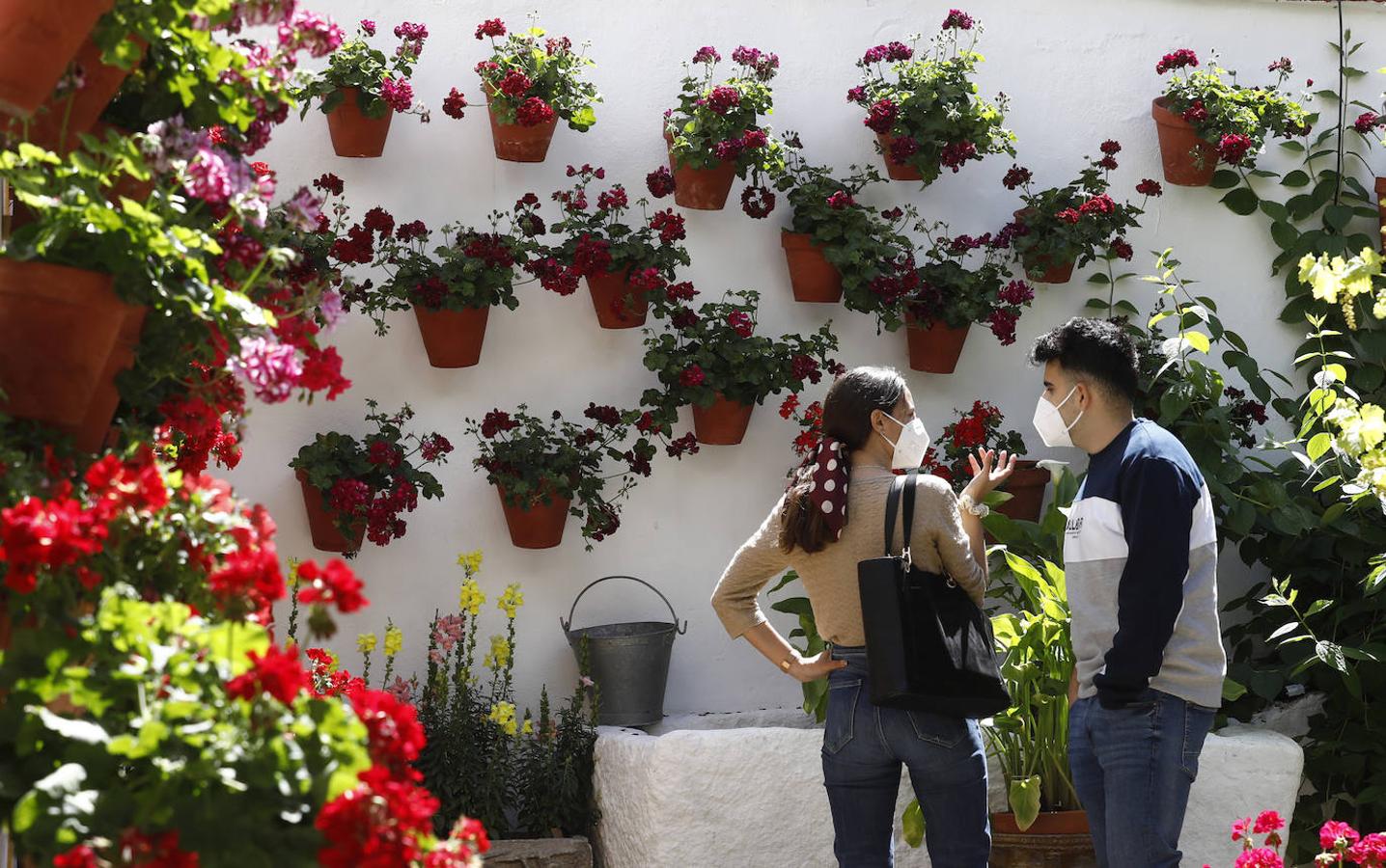 Patios de Córdoba 2021 | El Realejo, las flores que brotan del olor de los pucheros