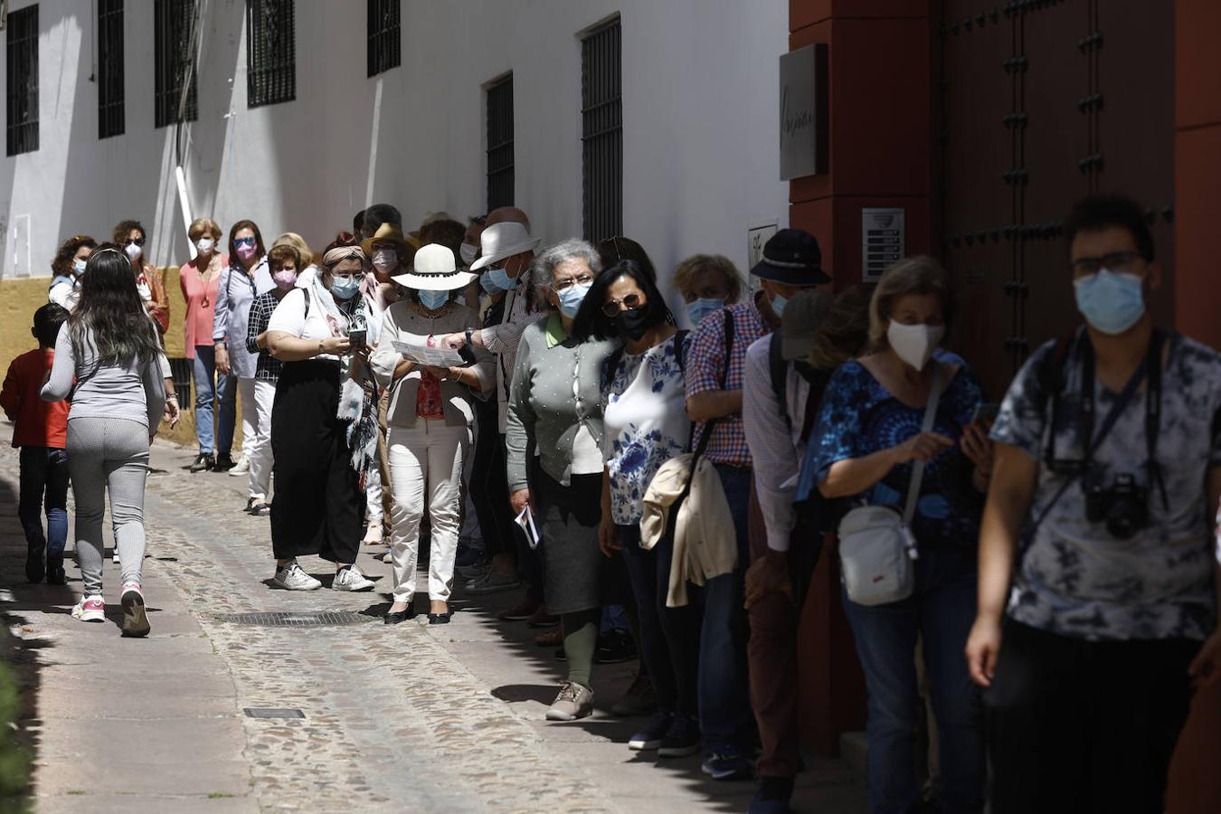 Patios de Córdoba 2021 | La ruta de San Agustín y Santa Marina, en imágenes