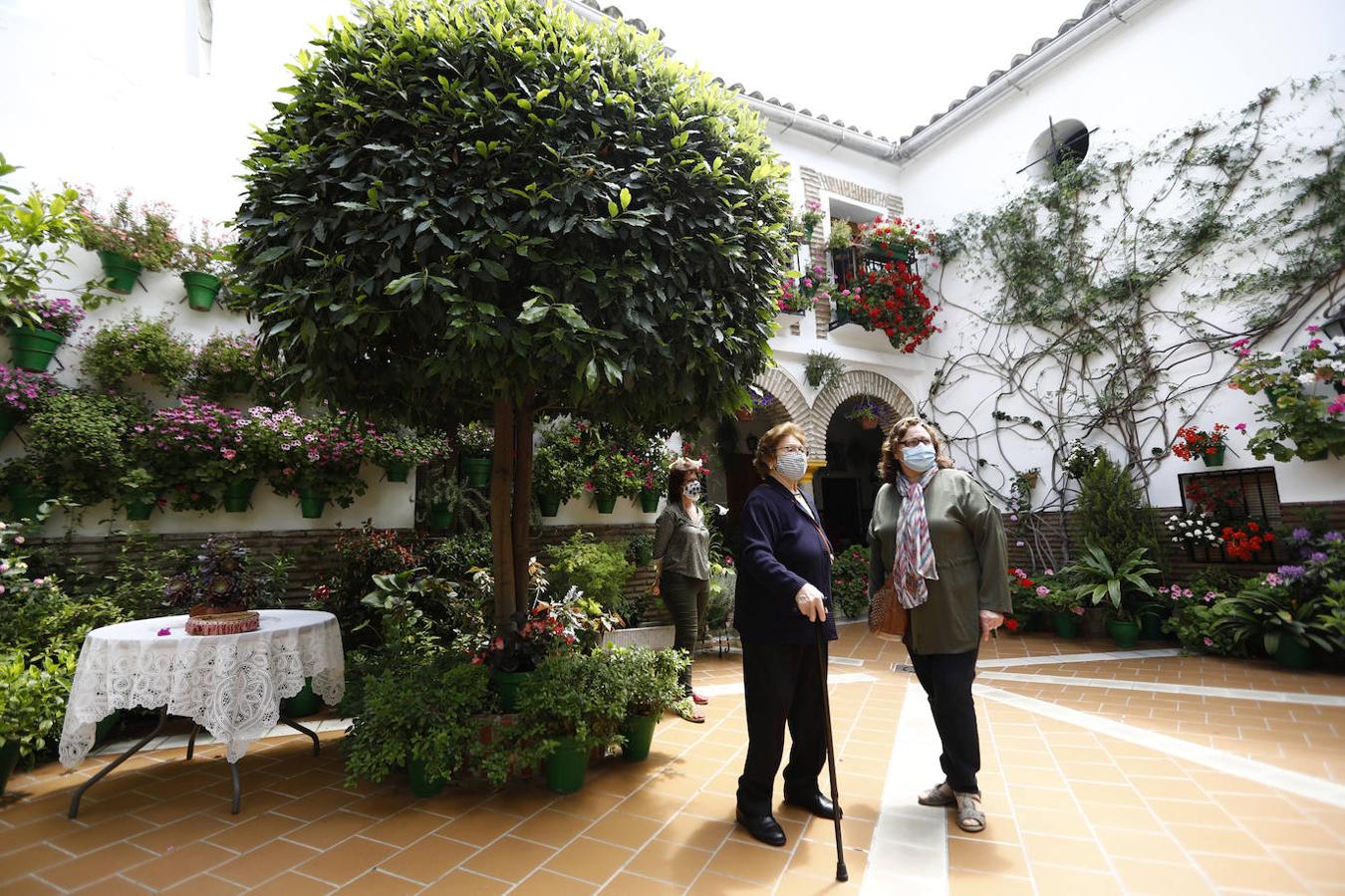 Patios de Córdoba 2021 | La ruta de San Agustín y Santa Marina, en imágenes