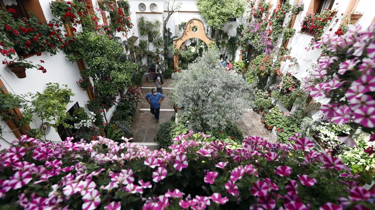 Patios de Córdoba 2021 | La ruta de San Agustín y Santa Marina, en imágenes